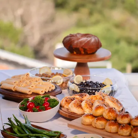 Heros 호텔 보즈자아다